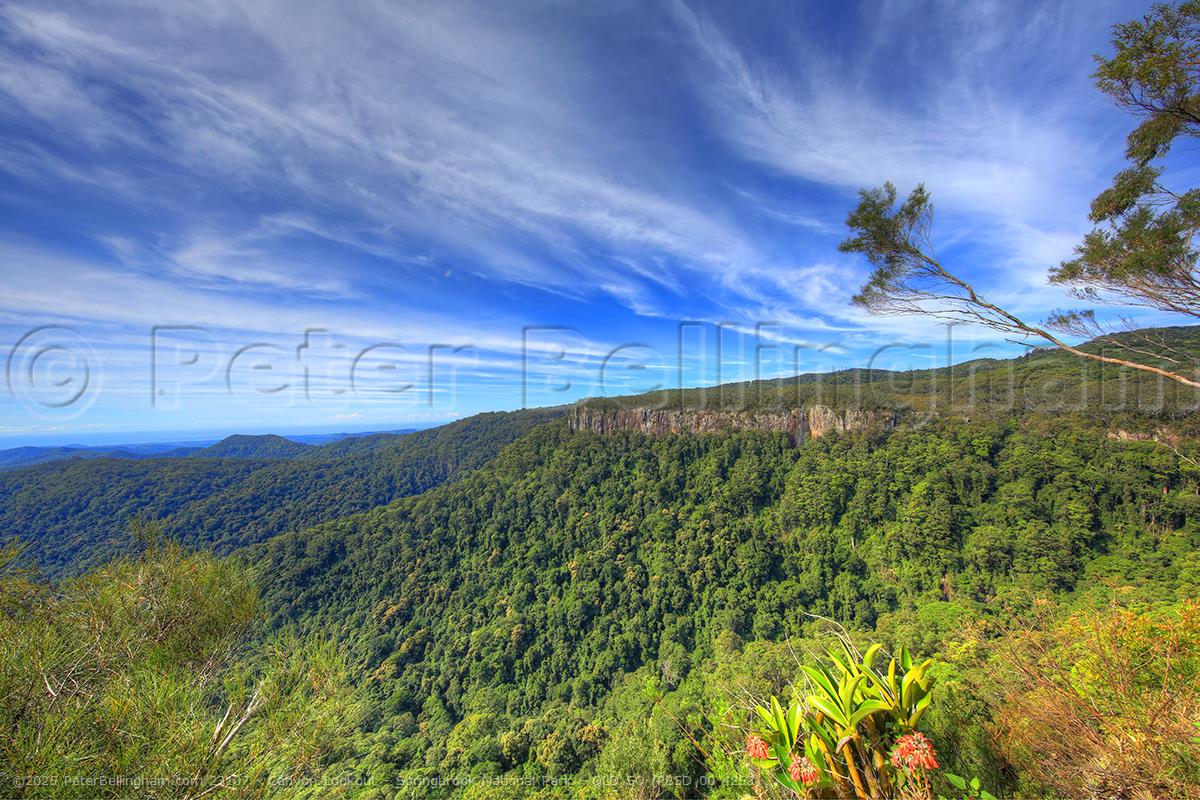 Peter Bellingham Photography Canyon Lookout - Springbrook National Park - QLD SQ (PB5D 00 4253)